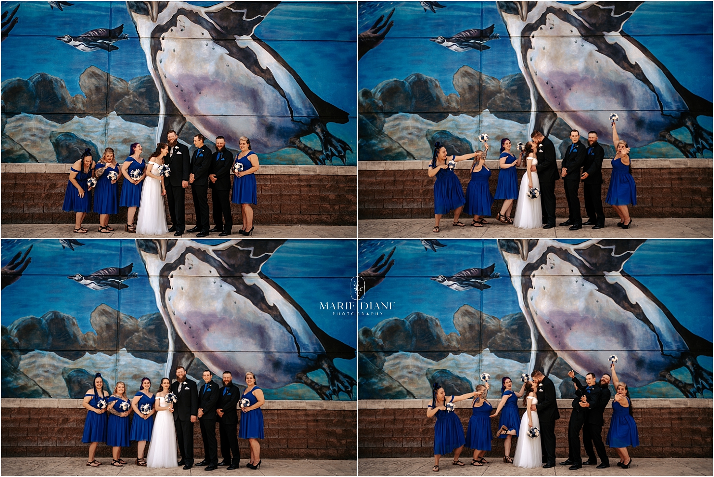 wedding party posed at newport aquarium