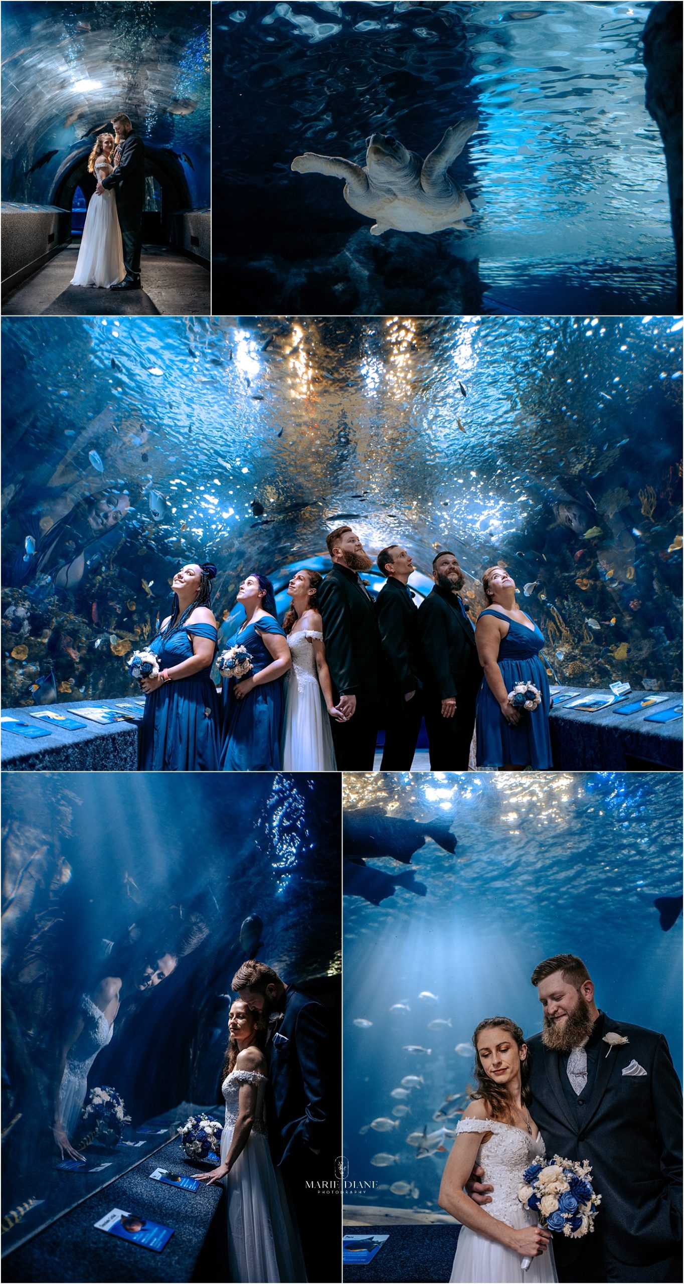 Wedding pose inside aquarium tunnel 