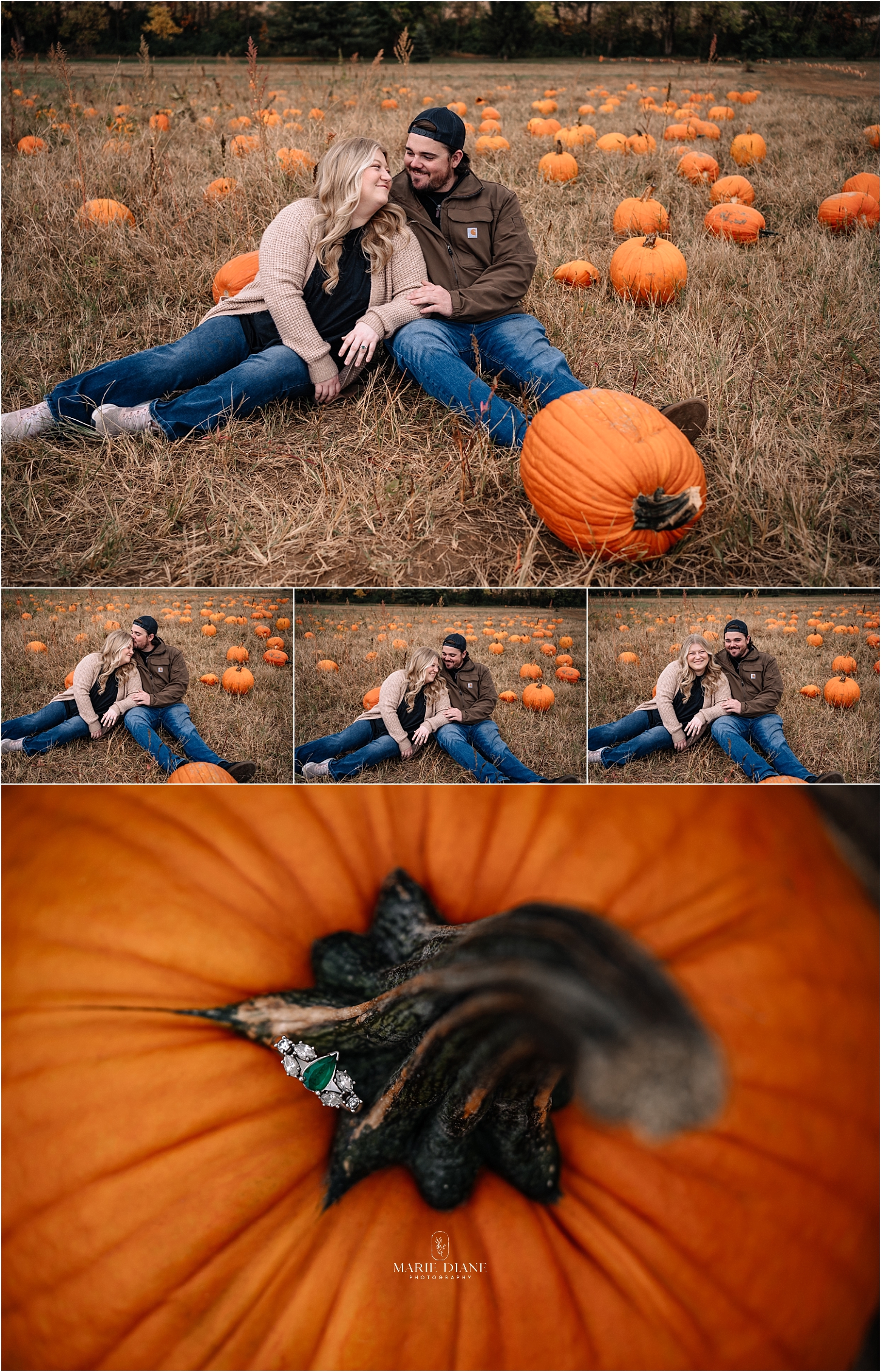 HIdden Valley Orchard Engagement Session